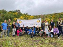 associazione primaurora sagra della primavera