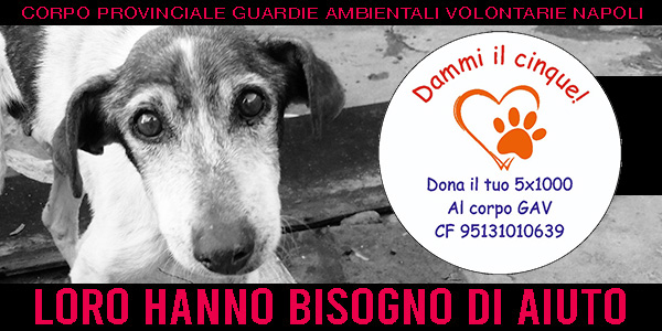 donazione animali Gav