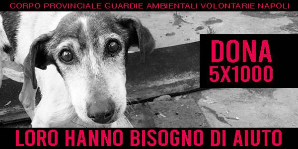 Donazione Animali