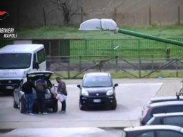 caivano camorra covid