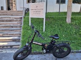 ladro bici elettrica