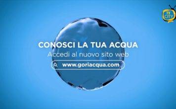 sito gori
