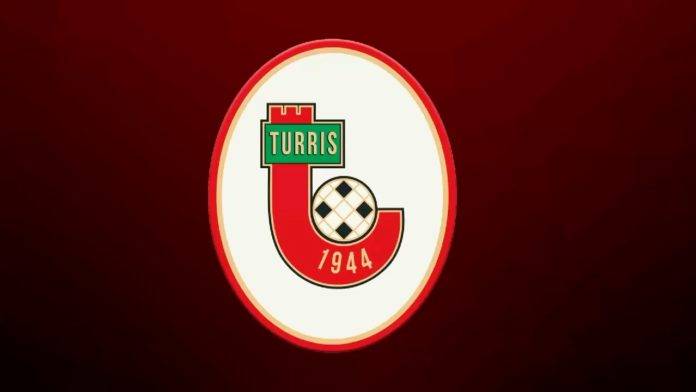 turris logo