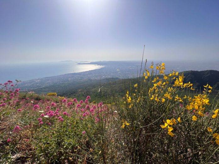 vesuvio 5