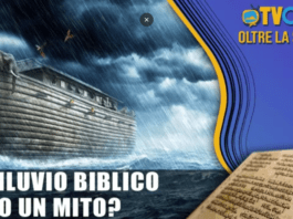 la storia oltre la storia cinzia mele