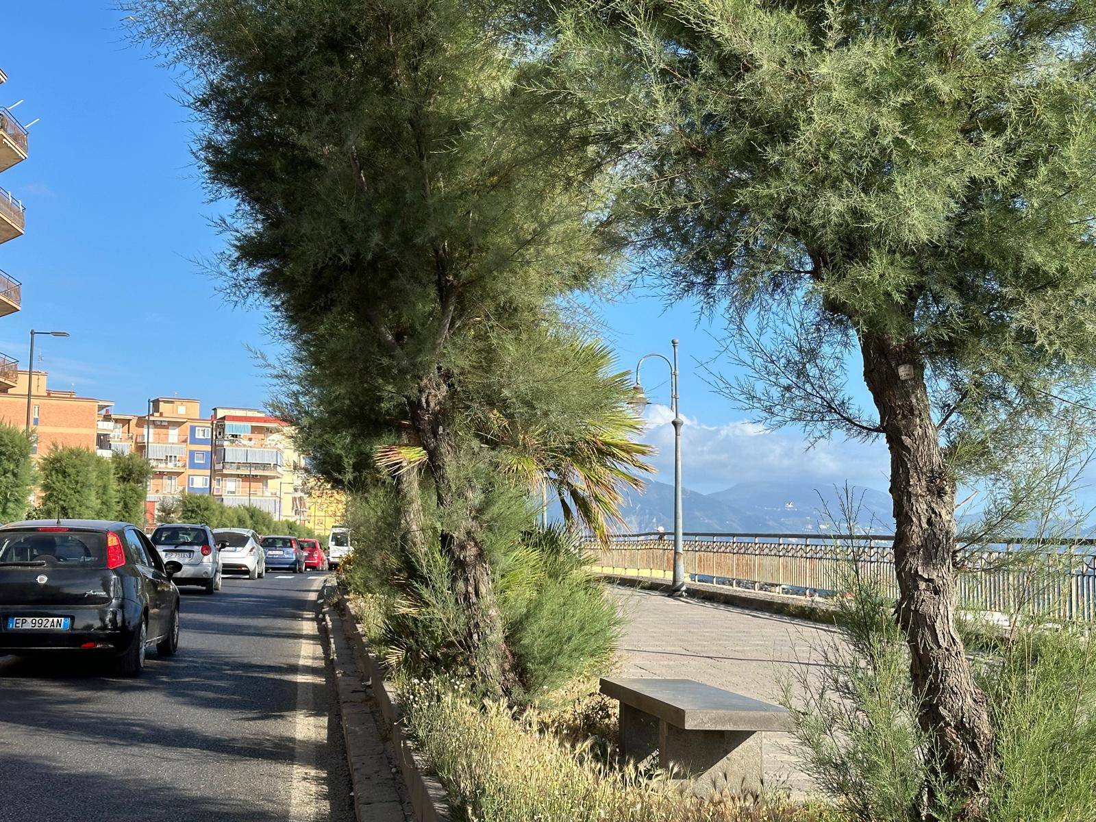 litoranea