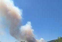 Antincendio boschivo: il bando di selezione per 48 unità incendio vesuvio
