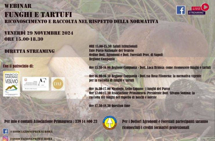 locandina funghi