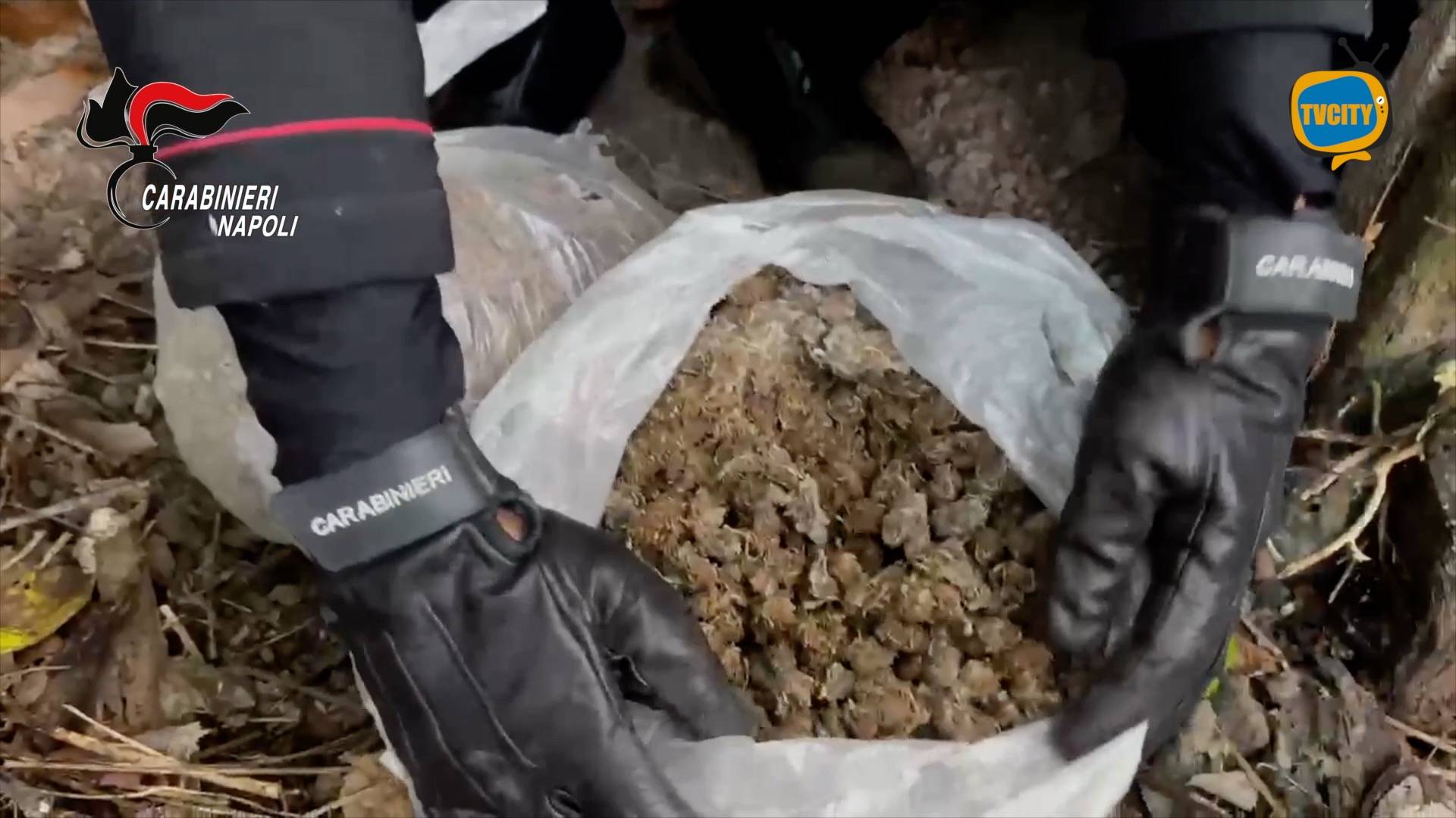 5 kg di marijuana interrati in un capanno. Sequestro dei Carabinieri