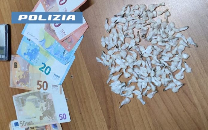 acerra droga