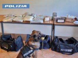 polizia cane
