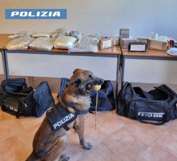 polizia cane