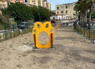 attrezzatura cani