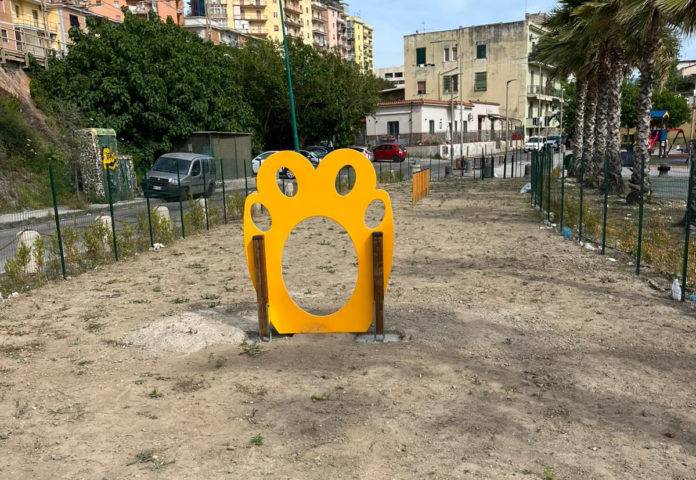 attrezzatura cani