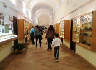 museo