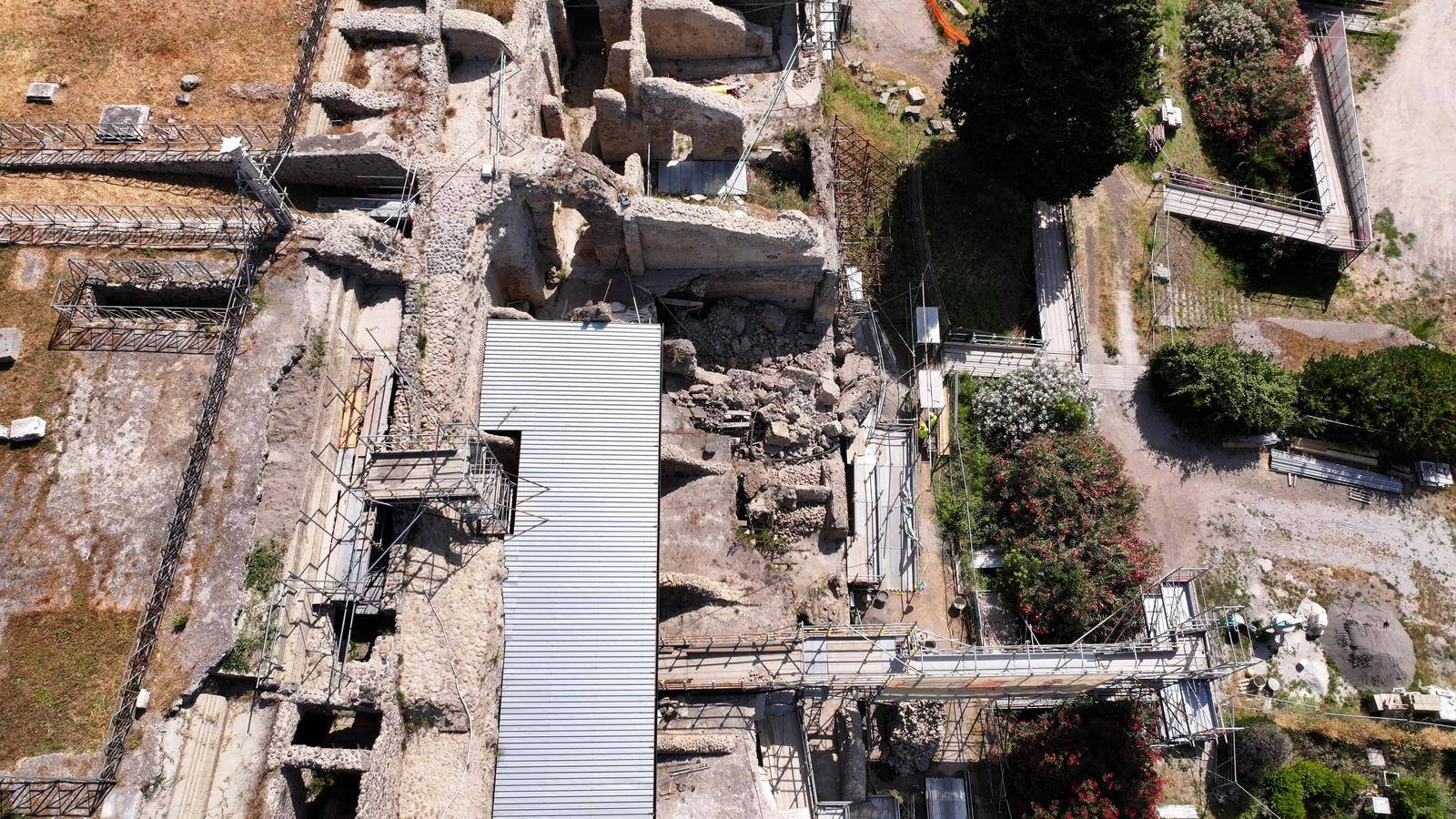 insula
