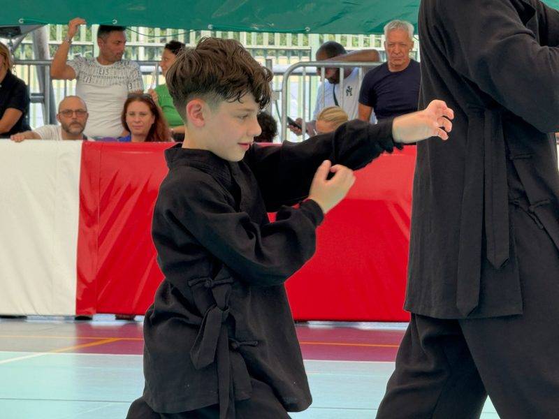Pugno del Drago