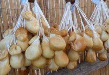 sagra