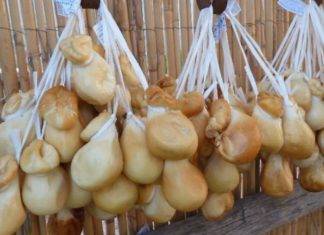 sagra