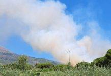 Incendi boschivi, Ass. Zabatta: “Anche 8 donne tra i DOS campani”