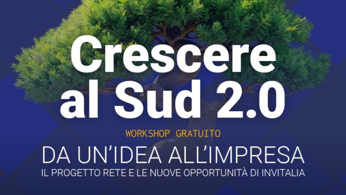 stecca