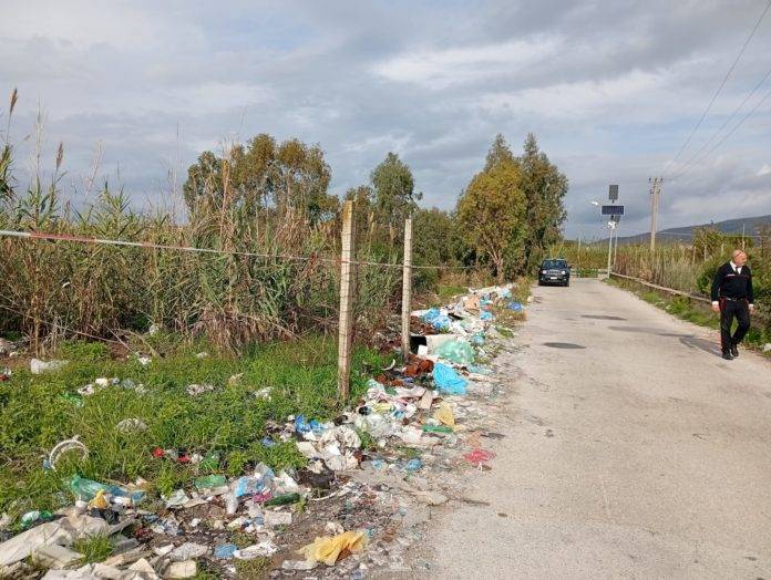 rifiuti terra dei fuochi