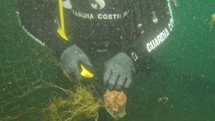 liberazione_scorfano