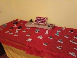 L’associazione Primaurora allestisce spazio dedicato alla geologia