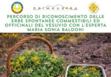 Corso di riconoscimento delle erbe spontanee officinali del Vesuvio