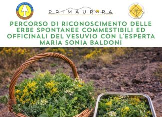 Corso di riconoscimento delle erbe spontanee officinali del Vesuvio