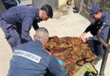 Torre del Greco, la Scala: sequestrata rete da posta lunga 500 mt