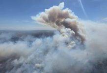 Primaurora al fianco della Toscana dopo i recenti incendi boschivi