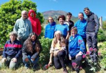 Primaurora: un corso di riconoscimento delle erbe spontanee