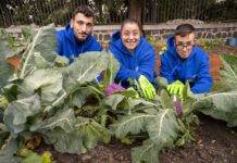 Pompei… Crea: iniziativa dedicata all’agricoltura sostenibile pompei