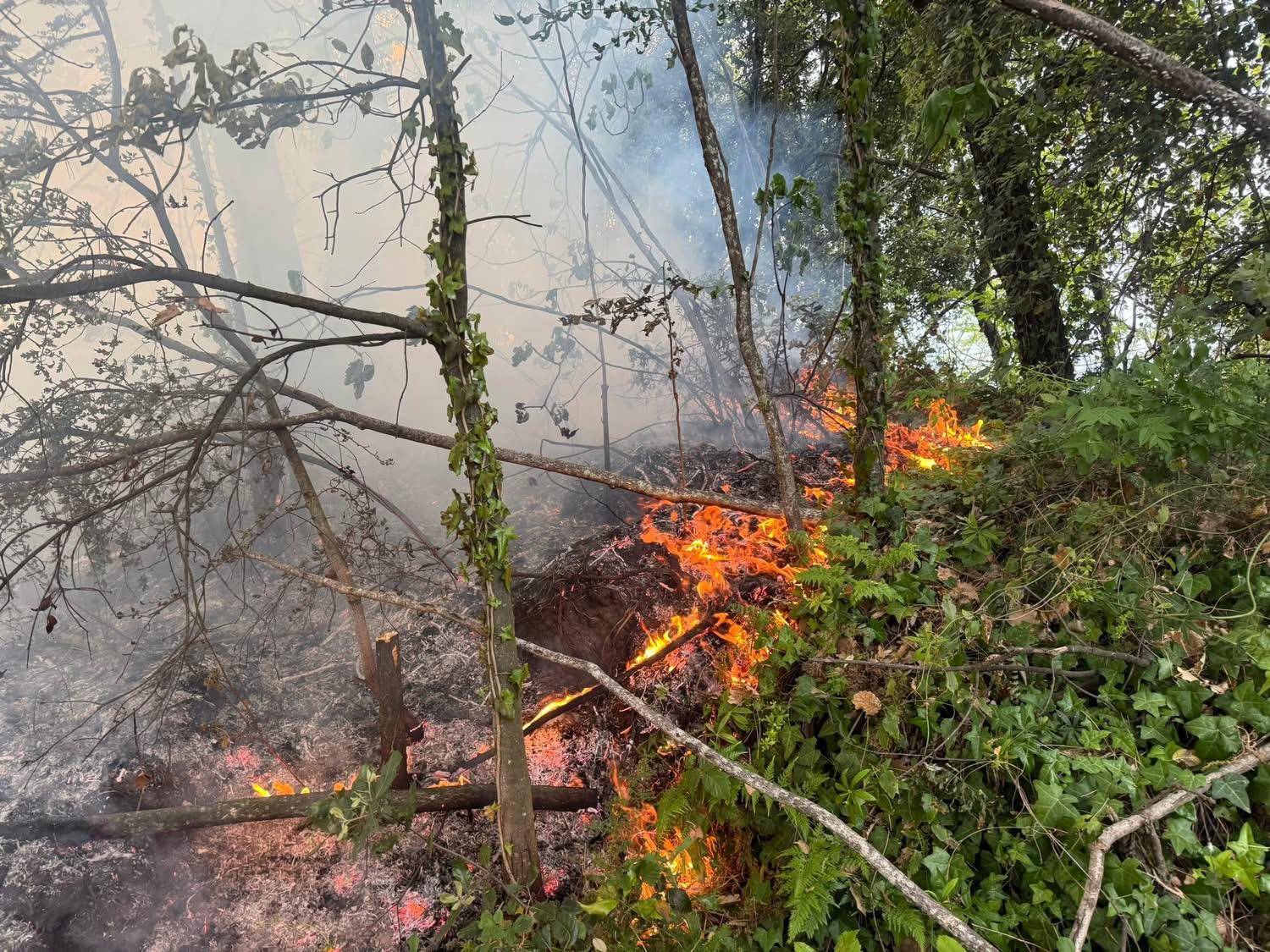 incendio