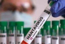 Hantavirus: attivate le procedure di sorveglianza in Campania