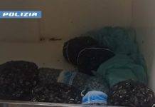 Sequestrati 70 kg di molluschi. Sanzionato conducente di furgone