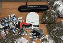 Controlli anti droga durante i concerti. Arrestati 2 pusher