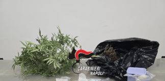 Carabinieri arrestano pusher incensurato col pollice verde