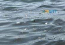 Torre del Greco, plastica e rifiuti in mare: segnalate scie sulla costa