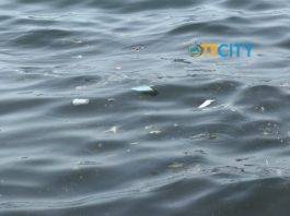 Torre del Greco, plastica e rifiuti in mare: segnalate scie sulla costa