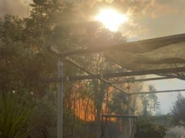 Primaurora: attivato Dos per operazione di spegnimento di incendio incendio