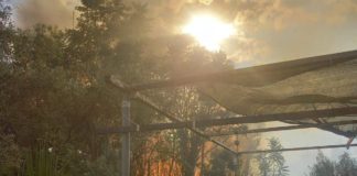 Primaurora: attivato Dos per operazione di spegnimento di incendio incendio