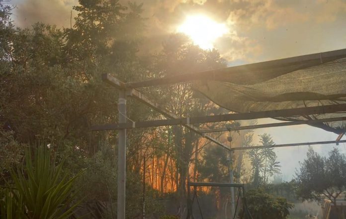 primaurora incendio
