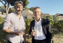 Vigneti delle Domus: primo raccolto delle uve. Vini attesi nel 2029