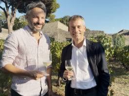 Vigneti delle Domus: primo raccolto delle uve. Vini attesi nel 2029