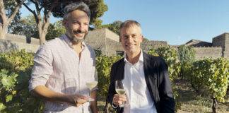 Vigneti delle Domus: primo raccolto delle uve. Vini attesi nel 2029