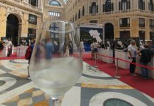 Campania Wine, bilancio positivo per la terza edizione dell’evento