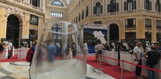 Campania Wine, bilancio positivo per la terza edizione dell’evento