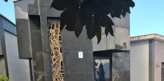 Cade da una scala nel cimitero: 58enne in coma